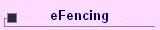 eFencing